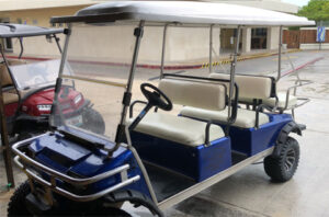 6-Passenger Golf Cart Rental